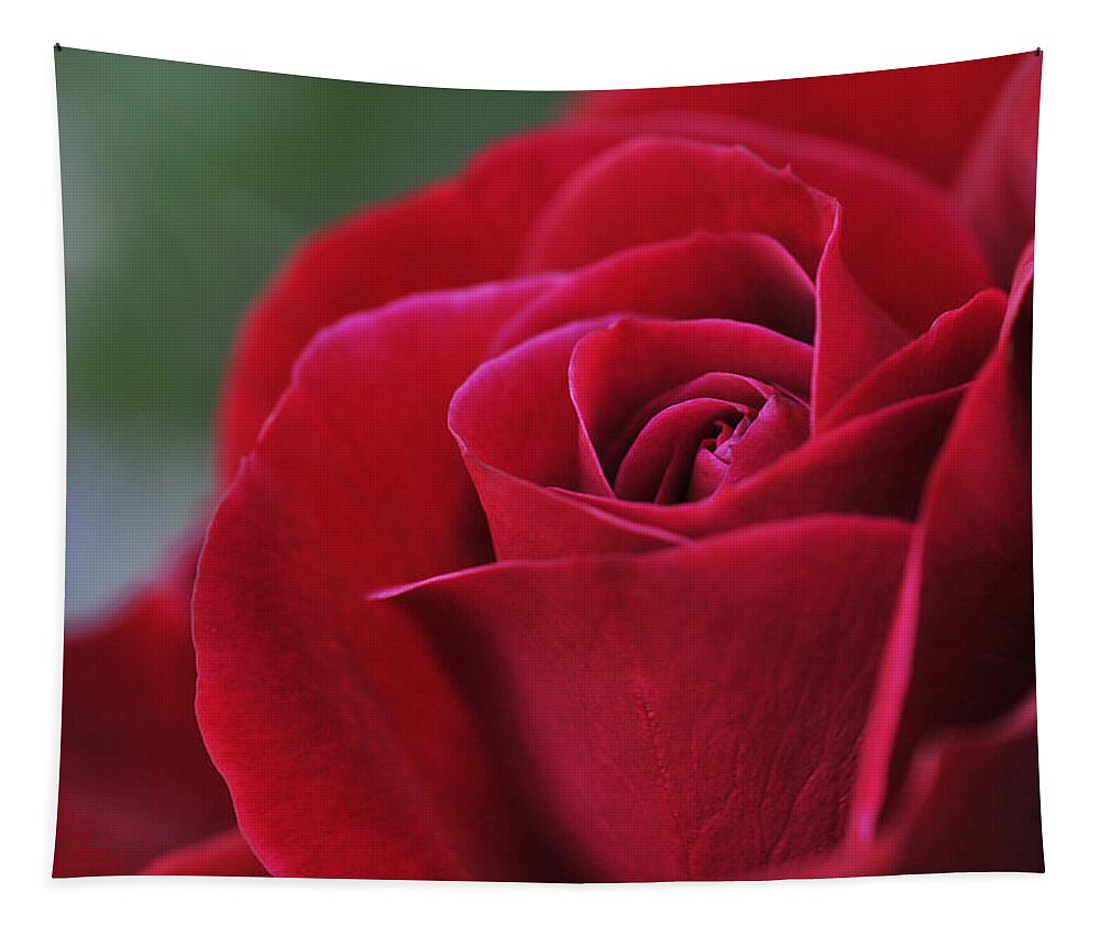 Red Tapestry featuring the photograph Red Rose Close 1 by Roger Snyder