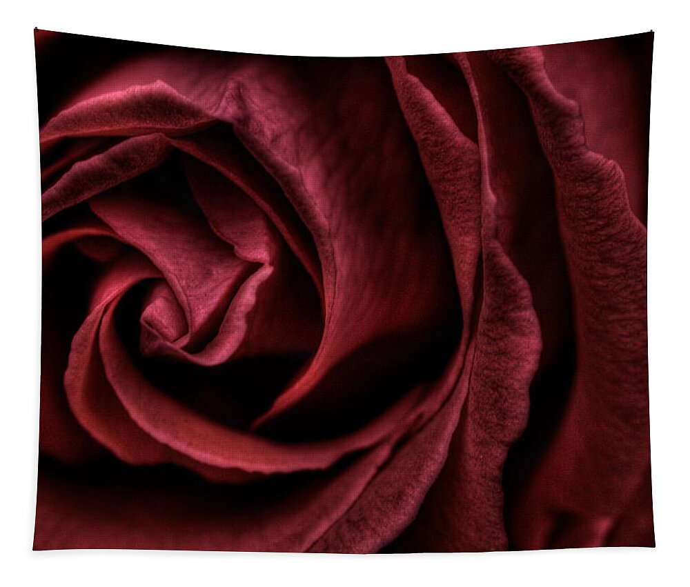 Red Tapestry featuring the photograph Red Rose by Nigel R Bell