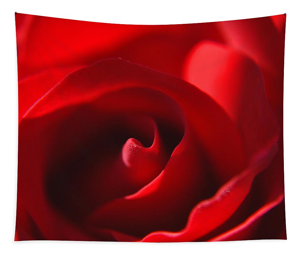 Red Rose Tapestry featuring the photograph Red Rose by Tikvah's Hope