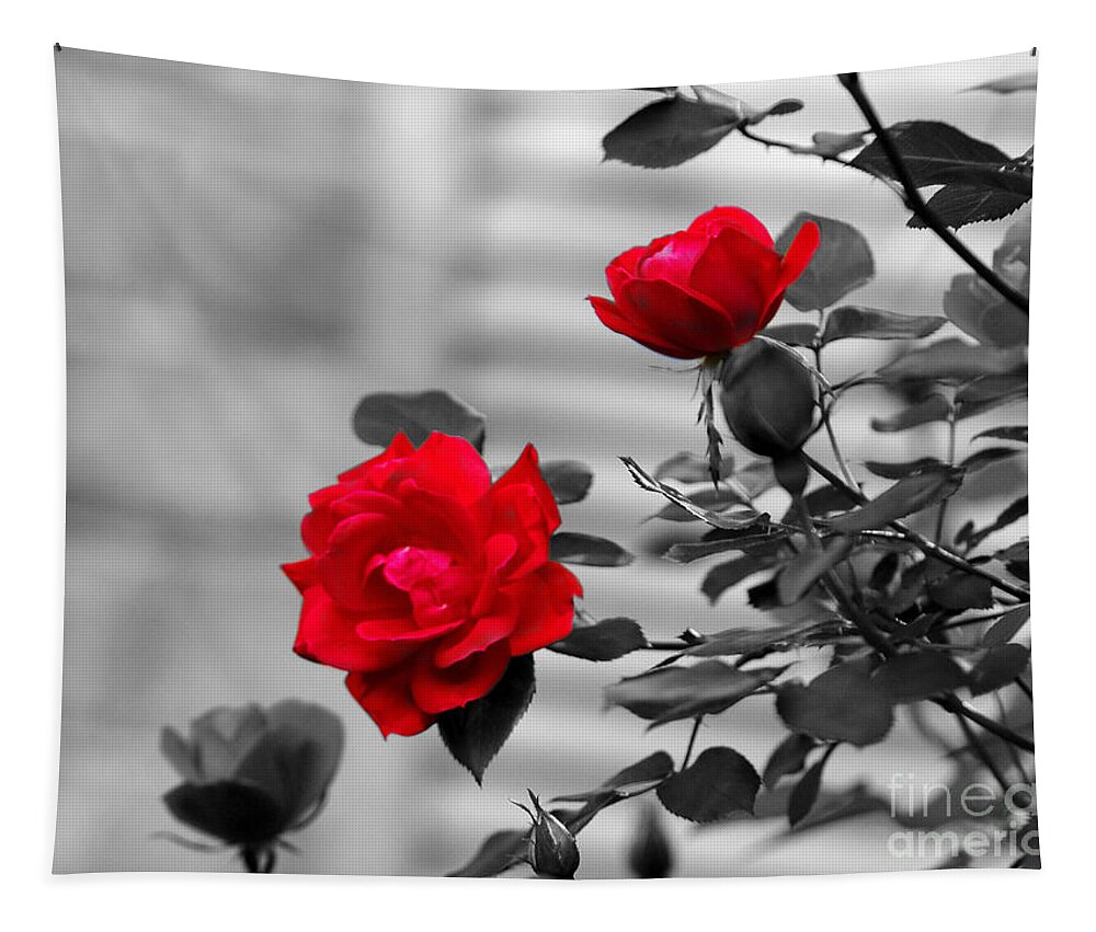 Rose Tapestry featuring the photograph Red Roses by Jai Johnson