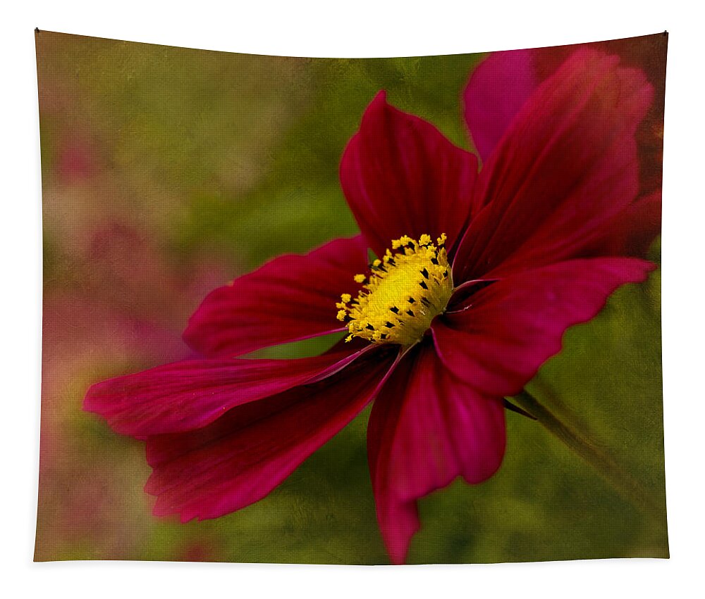 Cosmos Tapestry featuring the photograph Red Sensation by Mary Jo Allen