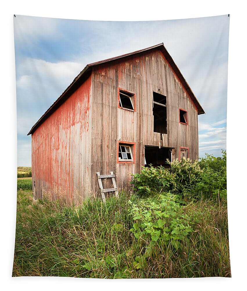 Barns Tapestry featuring the photograph Red Shack on Tucker rd - Vertical composition by Gary Heller