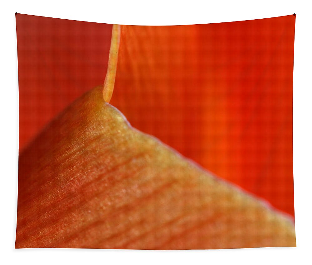 Abstract Tapestry featuring the photograph Red Surge by Juergen Roth