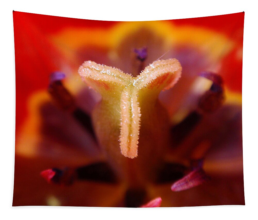 Tulip Tapestry featuring the photograph Red Tulip Abstract by Rona Black