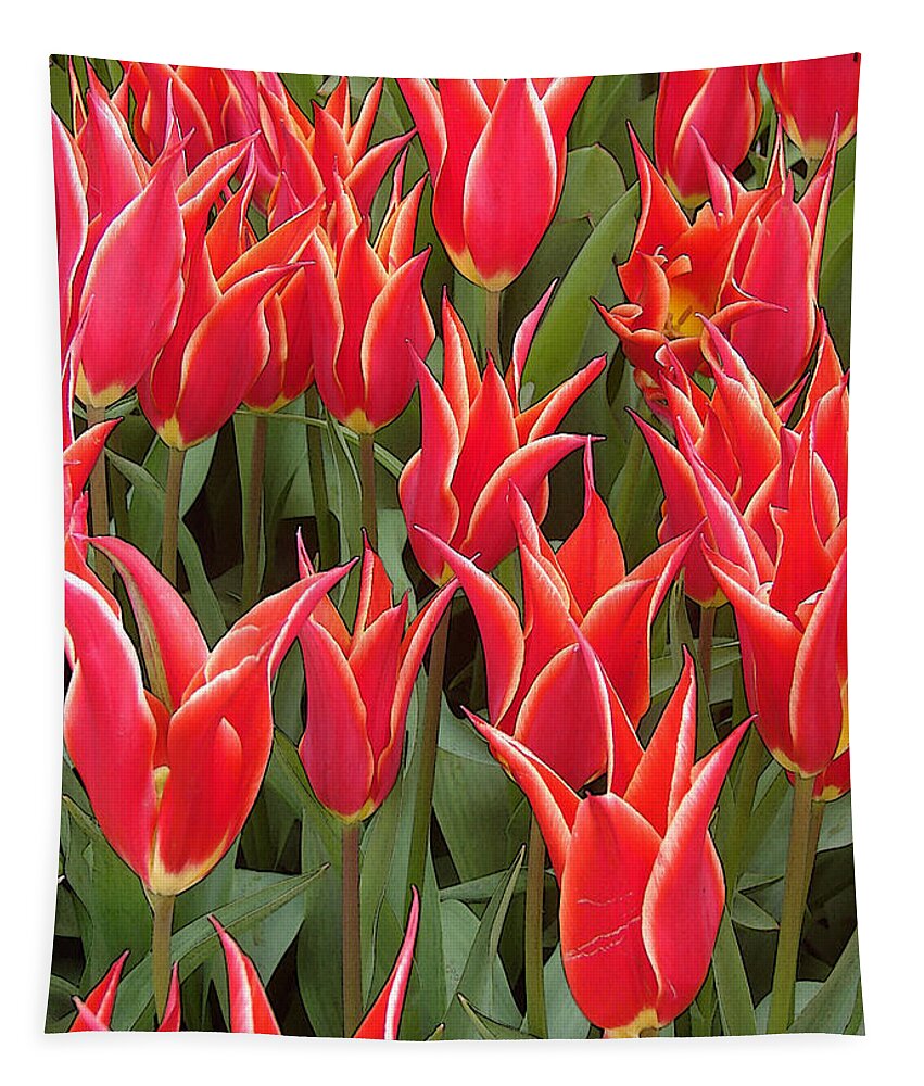 Red Tulips Tapestry featuring the digital art Red Tulips Together by Gary Olsen-Hasek