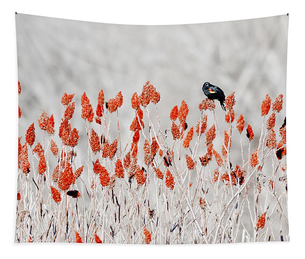 Bird Tapestry featuring the photograph Red-winged Blackbird by Steven Ralser