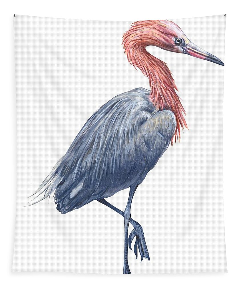 No People; Vertical; Side View; Full Length; White Background; One Animal; Wildlife; Close Up; Zoology; Illustration And Painting; Bird; Beak; Feather; Standing On One Leg; Reddish Egret; Egretta Rufescens Tapestry featuring the drawing Reddish egret by Anonymous