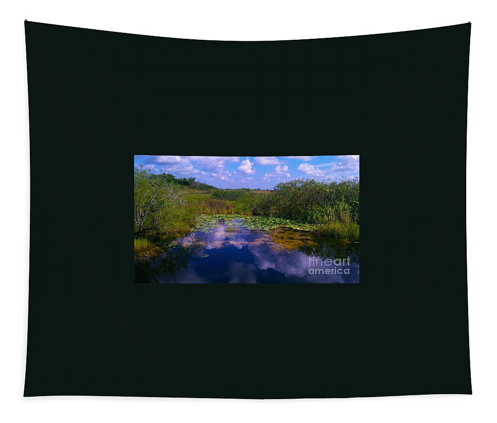Florida Tapestry featuring the photograph Reflecting In the Glades by Charlie Cliques