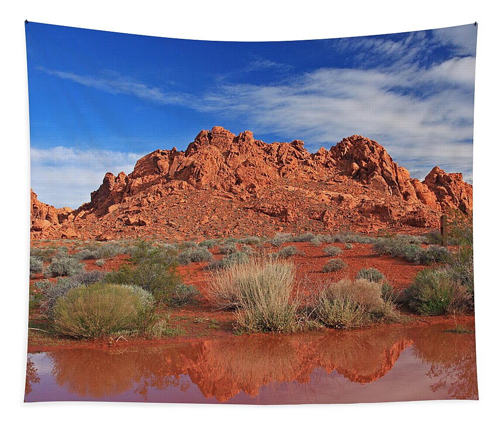 Water Tapestry featuring the photograph Reflections At The Valley of Fire by Steve Wolfe