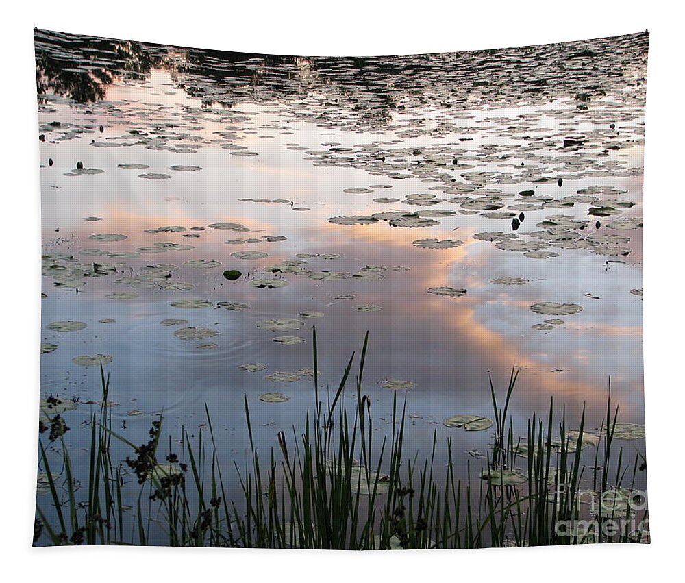 Reflections Tapestry featuring the photograph Reflections by Michael Krek