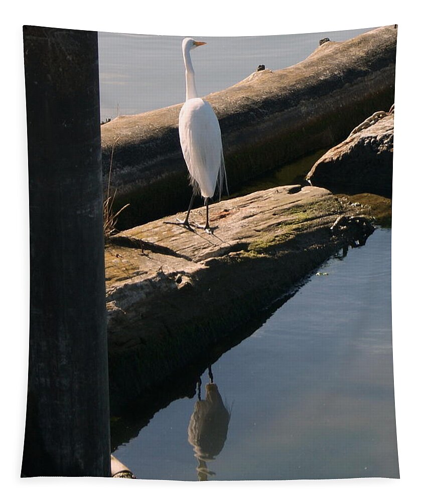 Egret Tapestry featuring the photograph Reflections of an Egret by Beth Collins