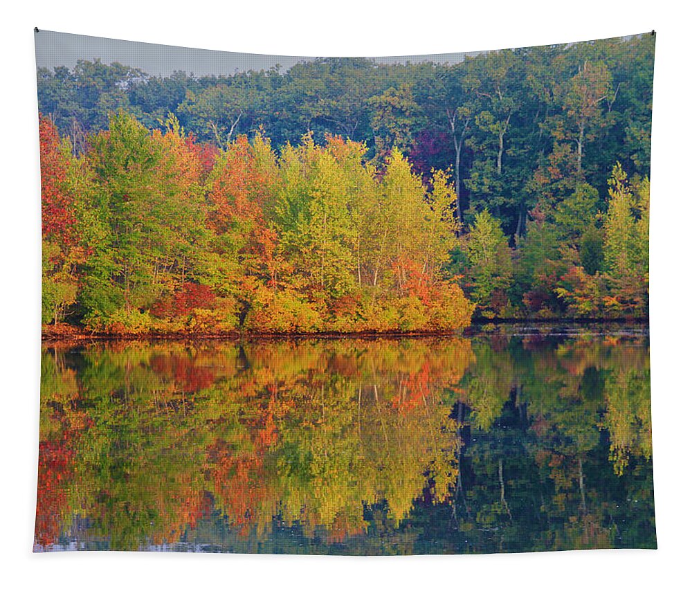 Fall Tapestry featuring the photograph Reflections of Fall by Roger Becker
