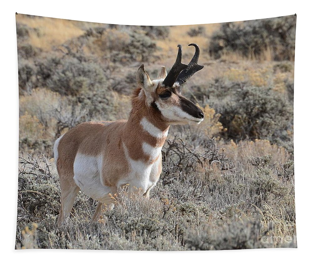 Antelope Tapestry featuring the photograph Regal Patriarch by Dorrene BrownButterfield