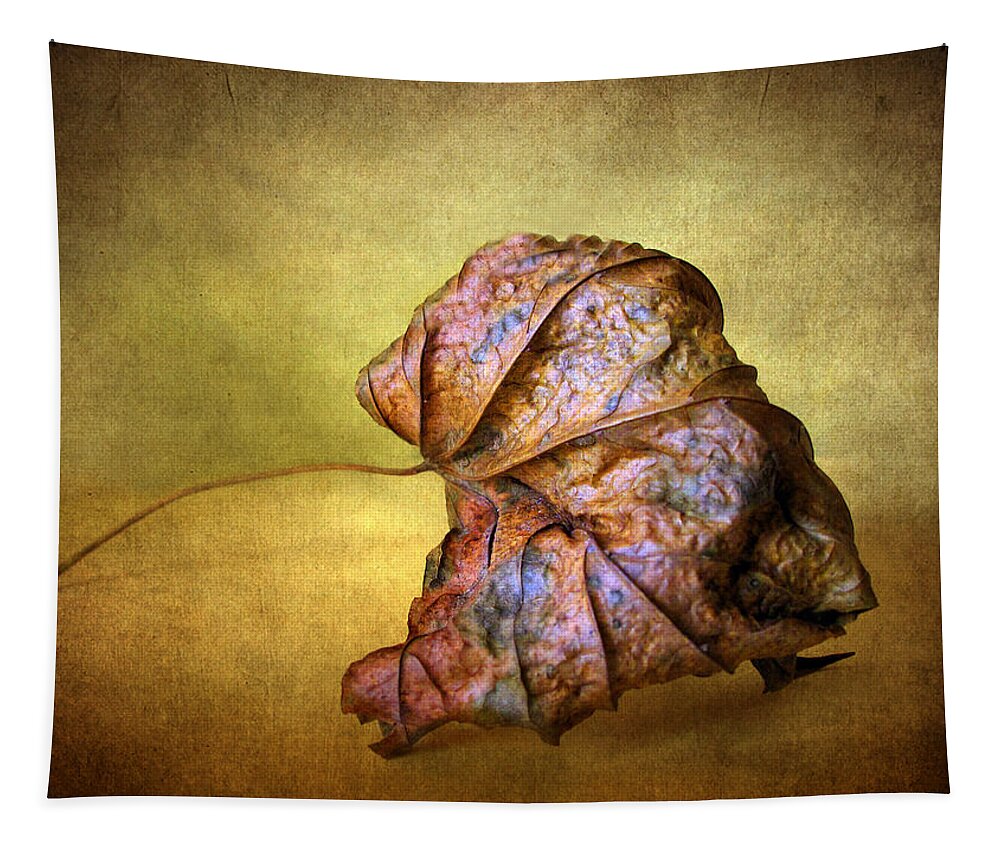 Leaf Tapestry featuring the photograph Remains of the Day by Jessica Jenney