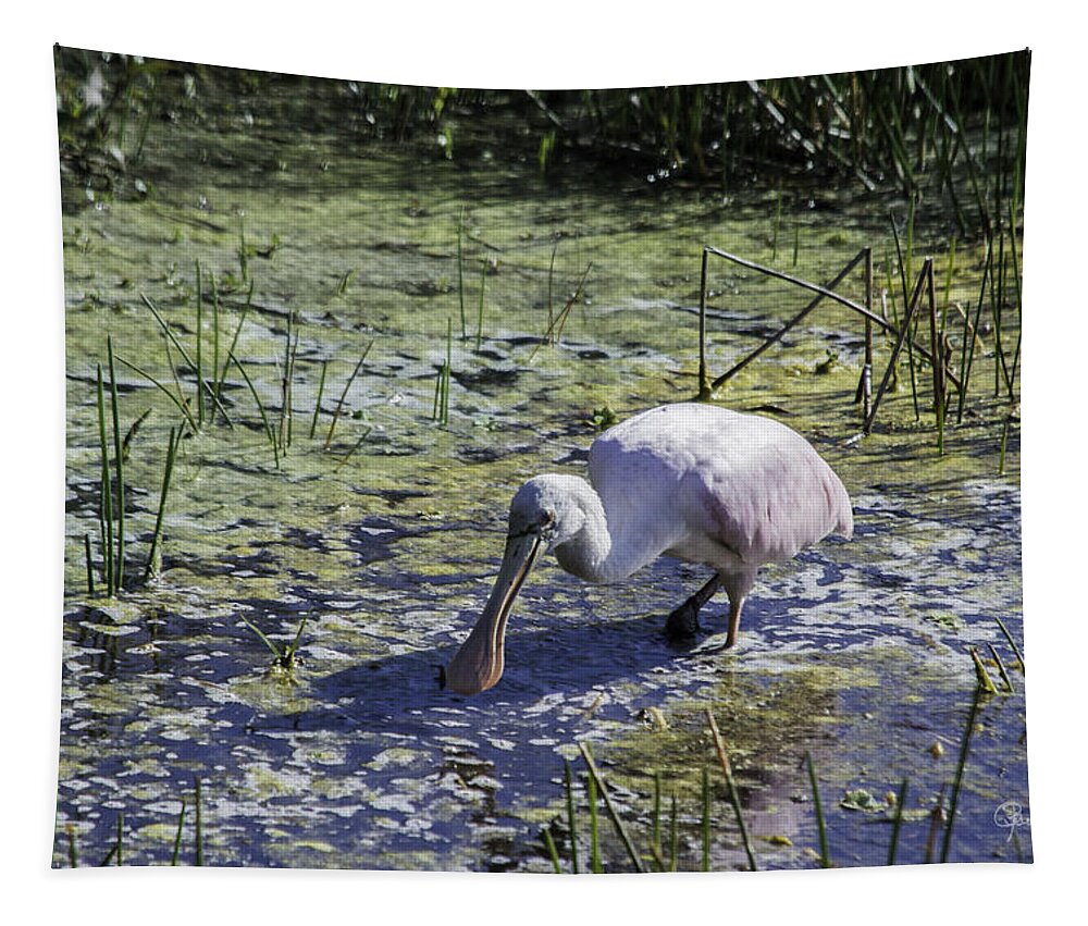 susan Molnar Tapestry featuring the photograph Reseate Spoonbill VI by Susan Molnar