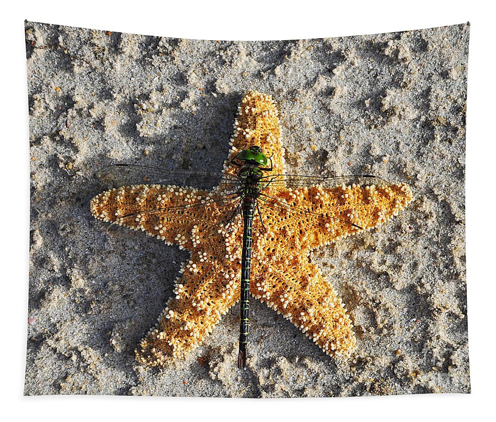 Dragonfly On Sea Star Tapestry featuring the photograph Resting Regal by Al Powell Photography USA