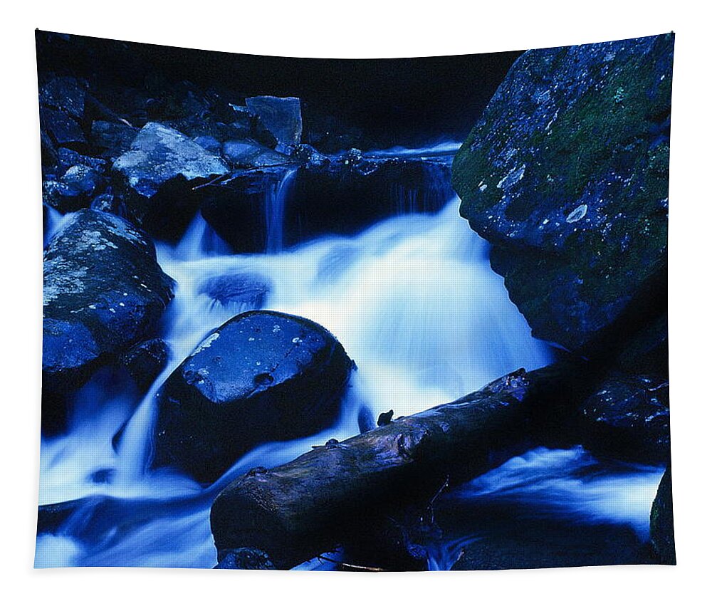 Fine Art Tapestry featuring the photograph Rhapsody In Blue by Rodney Lee Williams