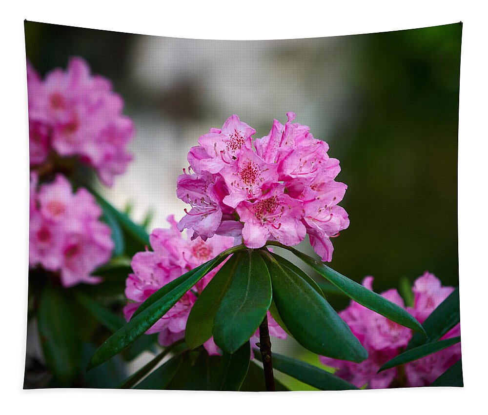Lehto Tapestry featuring the photograph Rhododendron pink by Jouko Lehto
