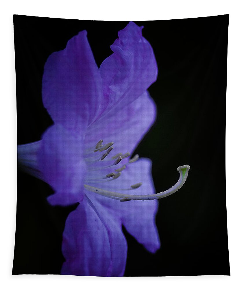 Rhododendron Tapestry featuring the photograph Rhododendron by Ron Roberts