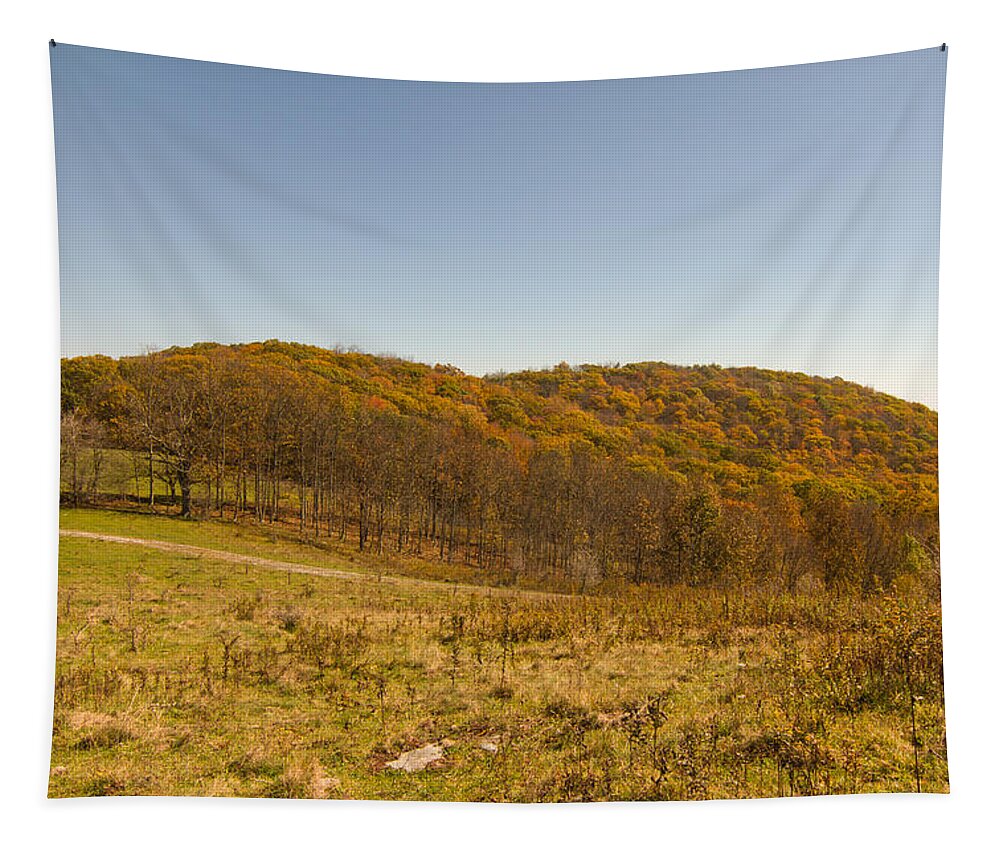 Autumn Tapestry featuring the photograph Rich Mountain Autumn by Paul Rebmann