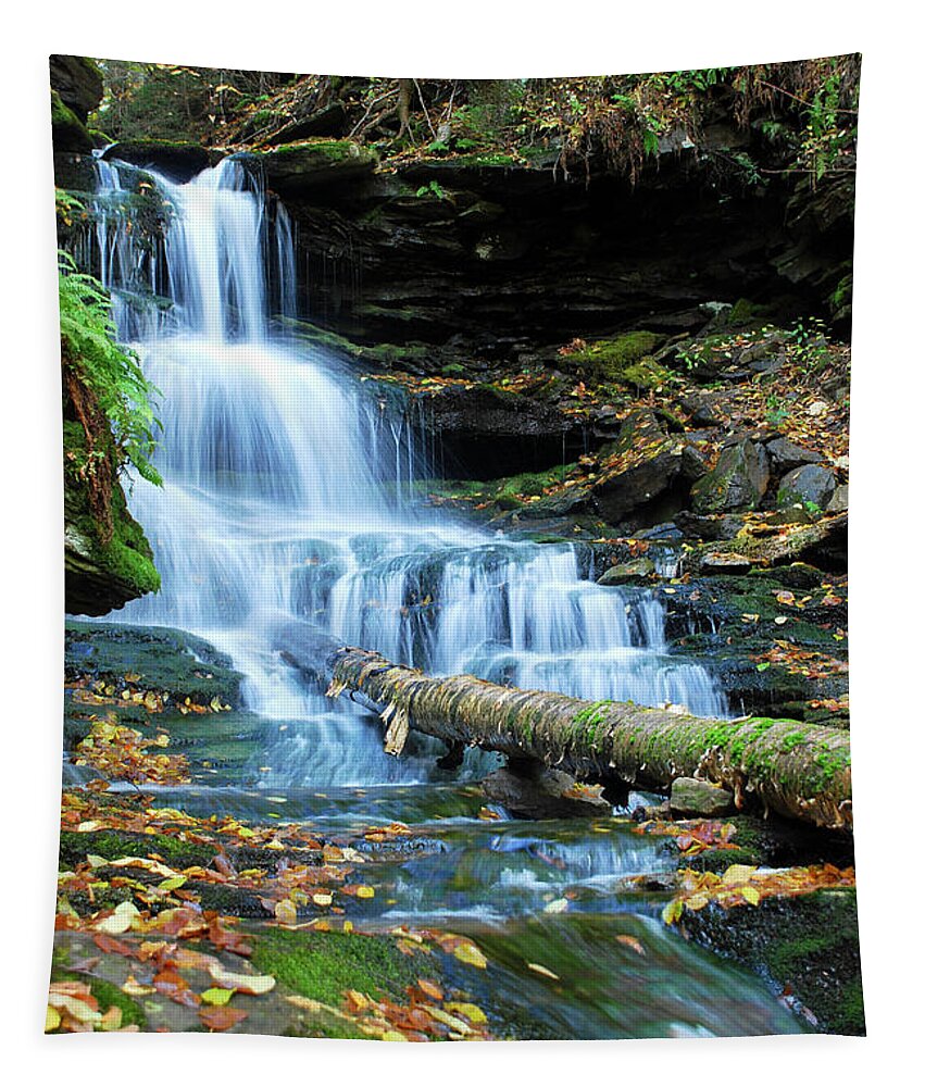 Cascade Waterfalls Tapestry featuring the photograph Ricketts Glen Hidden Waterfall by Crystal Wightman