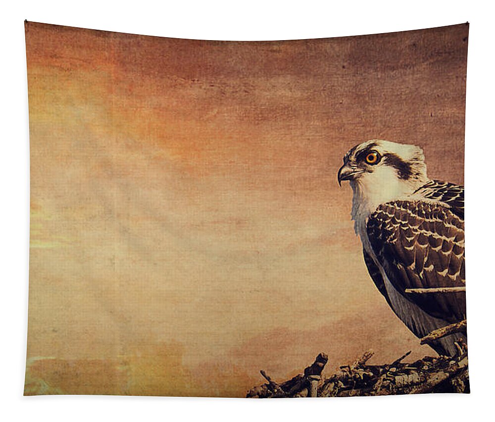 Osprey Tapestry featuring the photograph Rising Sun by Edward Fielding