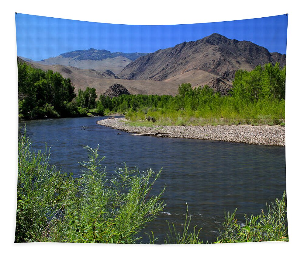 Salmon River Tapestry featuring the photograph River of No Return Salmon River by Ed Riche