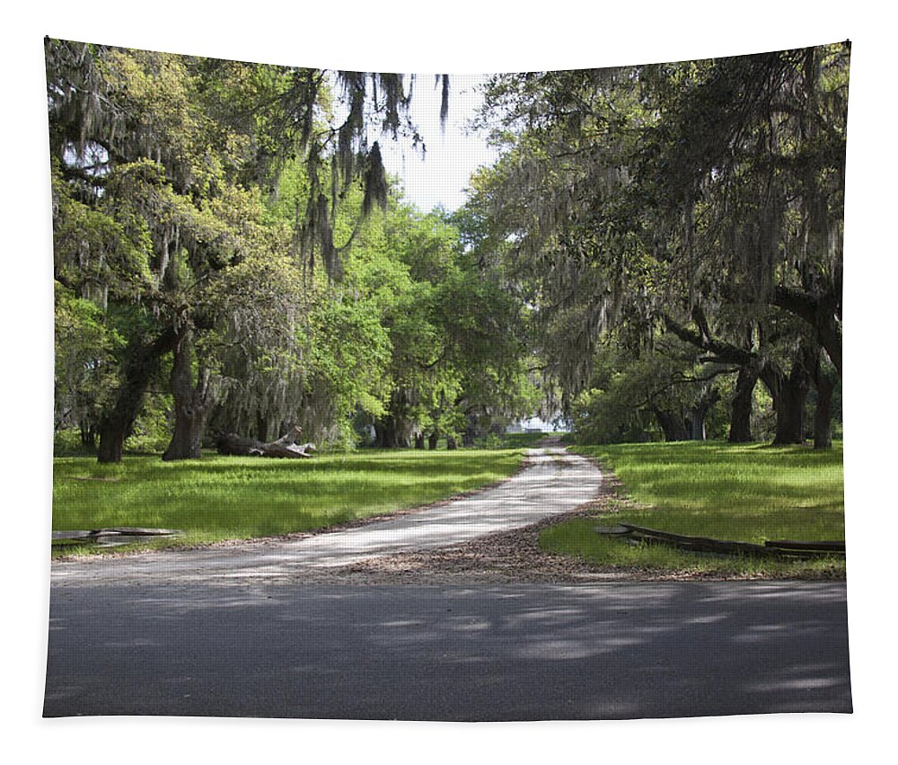 Road Tapestry featuring the photograph Road To Ruins by Jean Macaluso