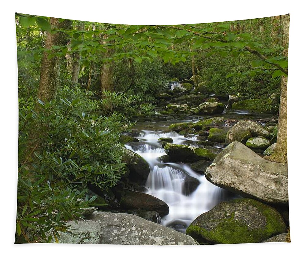 Color Tapestry featuring the photograph Roaring Fork by Nunweiler Photography