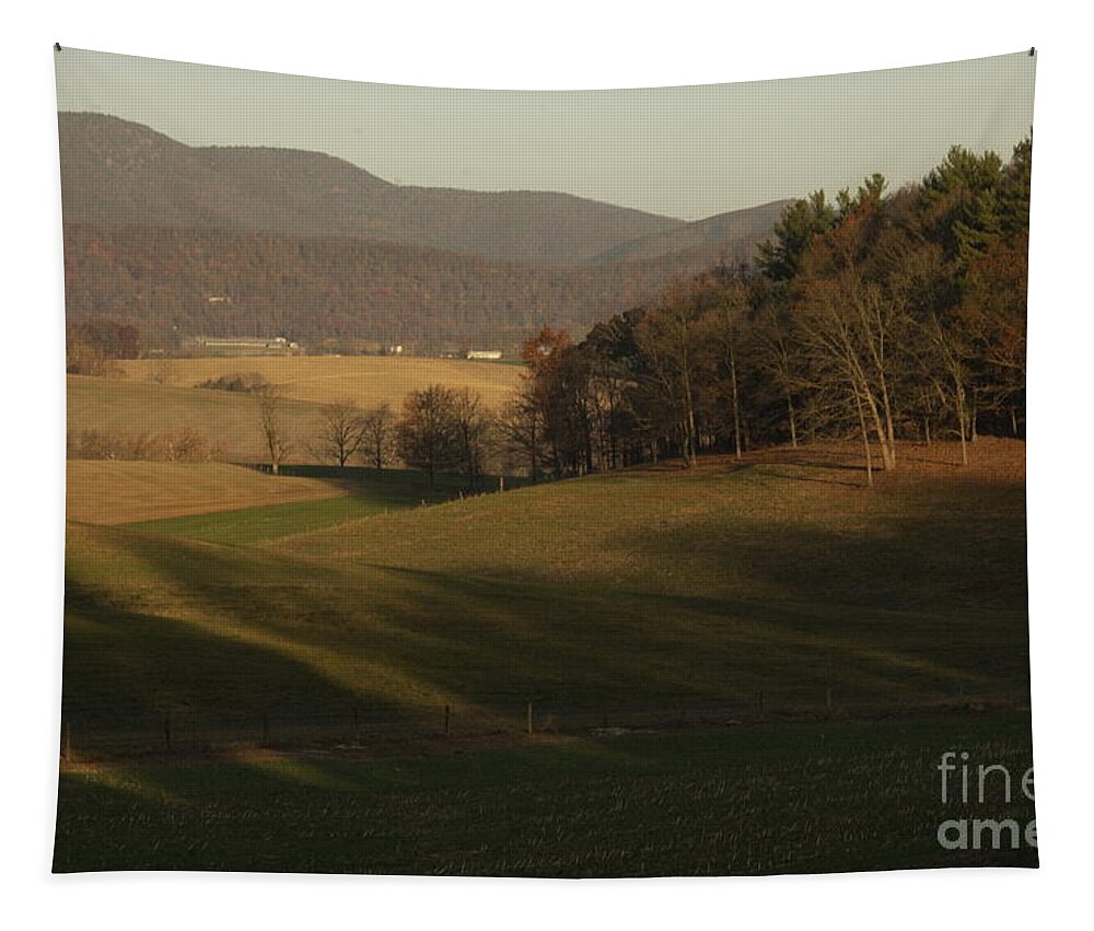 Virginia Tapestry featuring the photograph Rockingham County Virginia Meadow by Anna Lisa Yoder