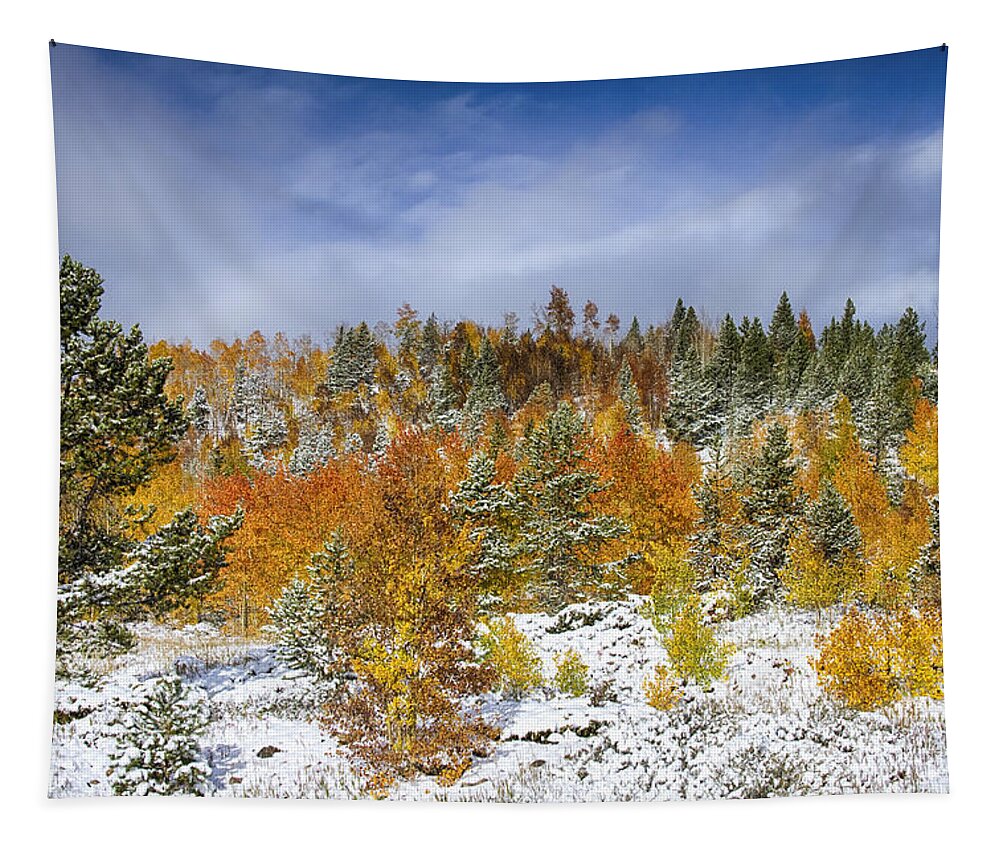 Snow Tapestry featuring the photograph Rocky Mountain Autumn Storm by James BO Insogna