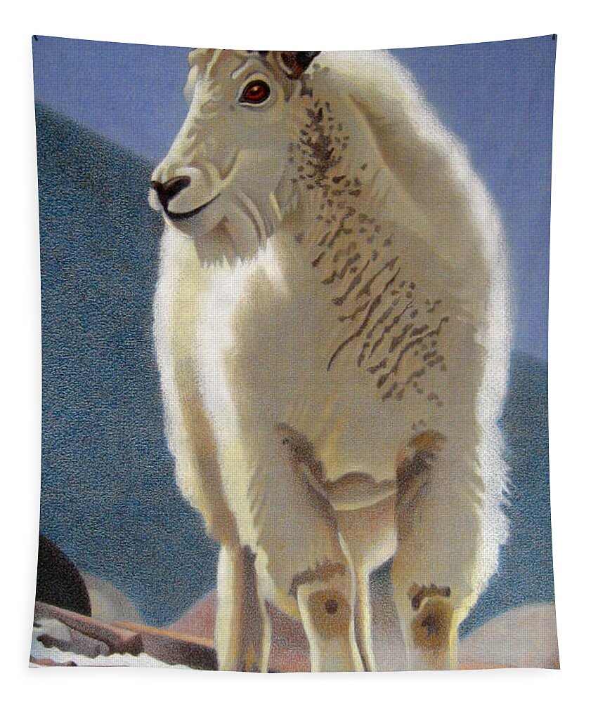 Art Tapestry featuring the drawing Rocky Mountain Goat by Dan Miller