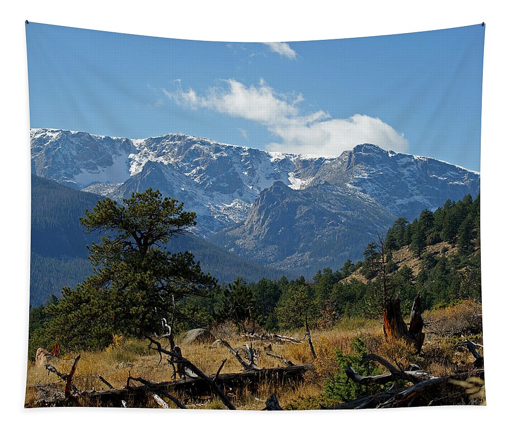 Rocky Mountains Tapestry featuring the photograph Rocky Mountain High by Ernest Echols