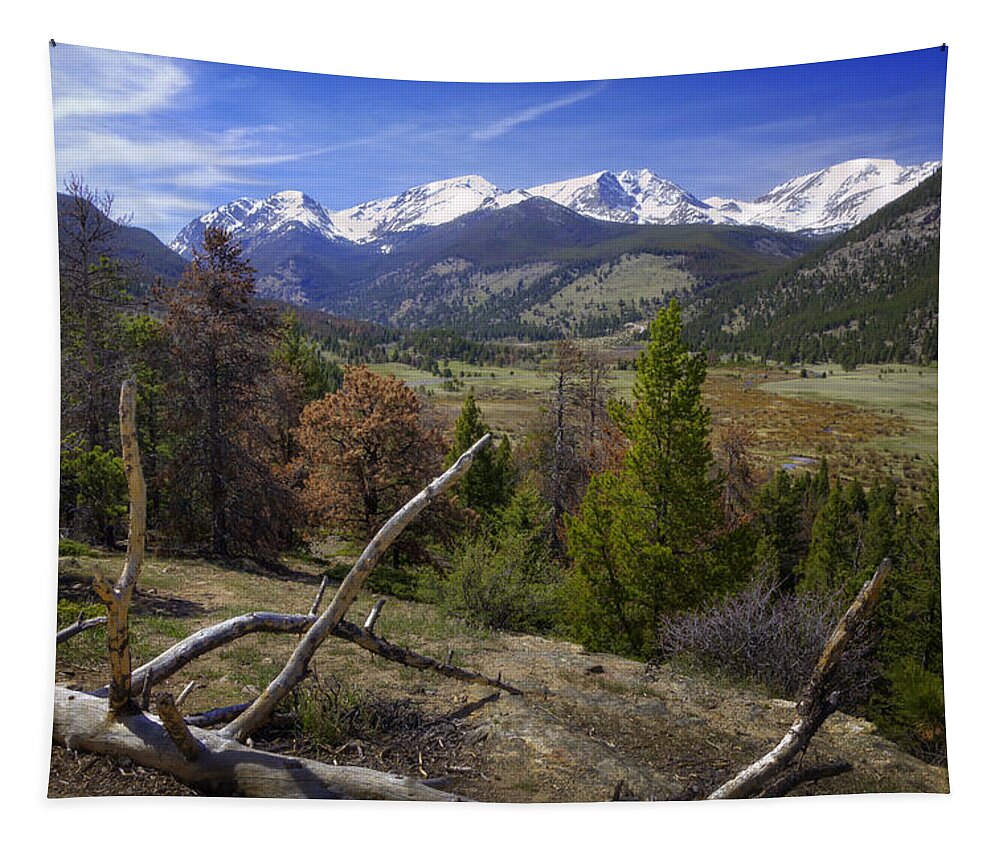 Rocky Mountain National Park Tapestry featuring the photograph Rocky Mountain National Park by Joan Carroll