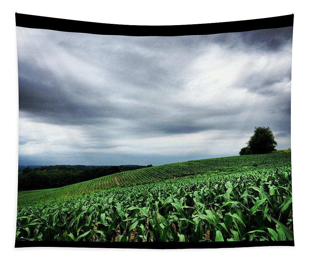 Green Tapestry featuring the photograph Rolling Corn Field After Storm by Angela Rath