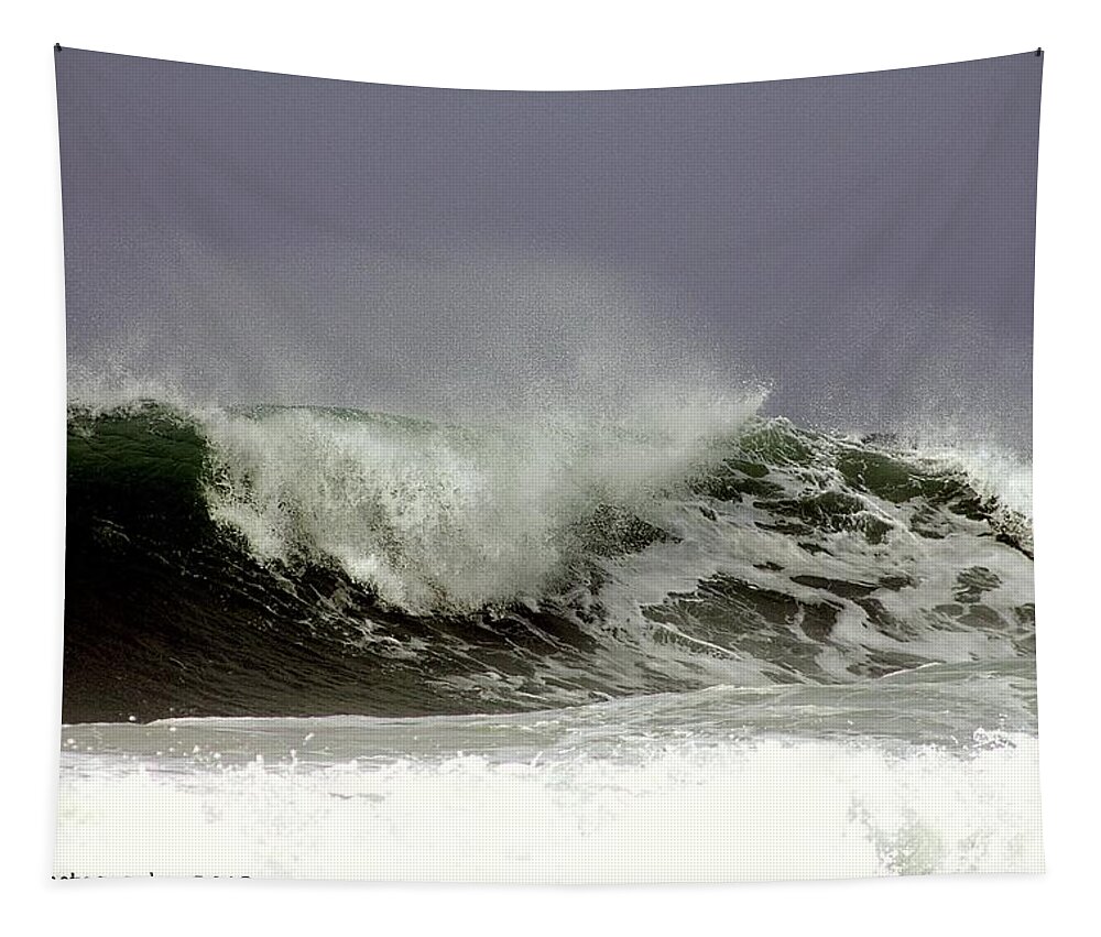 Waves Tapestry featuring the photograph Rolling In The Deep by Debra Forand