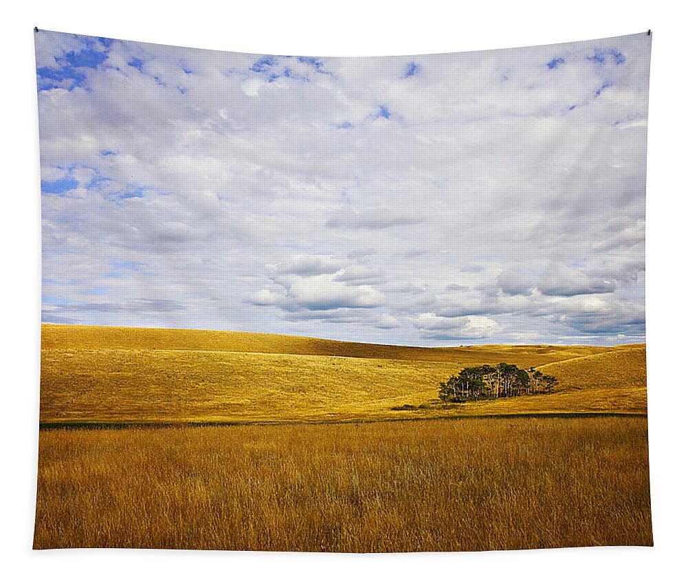 Landscape Photography Tapestry featuring the photograph Rolling Prairie by Theresa Tahara