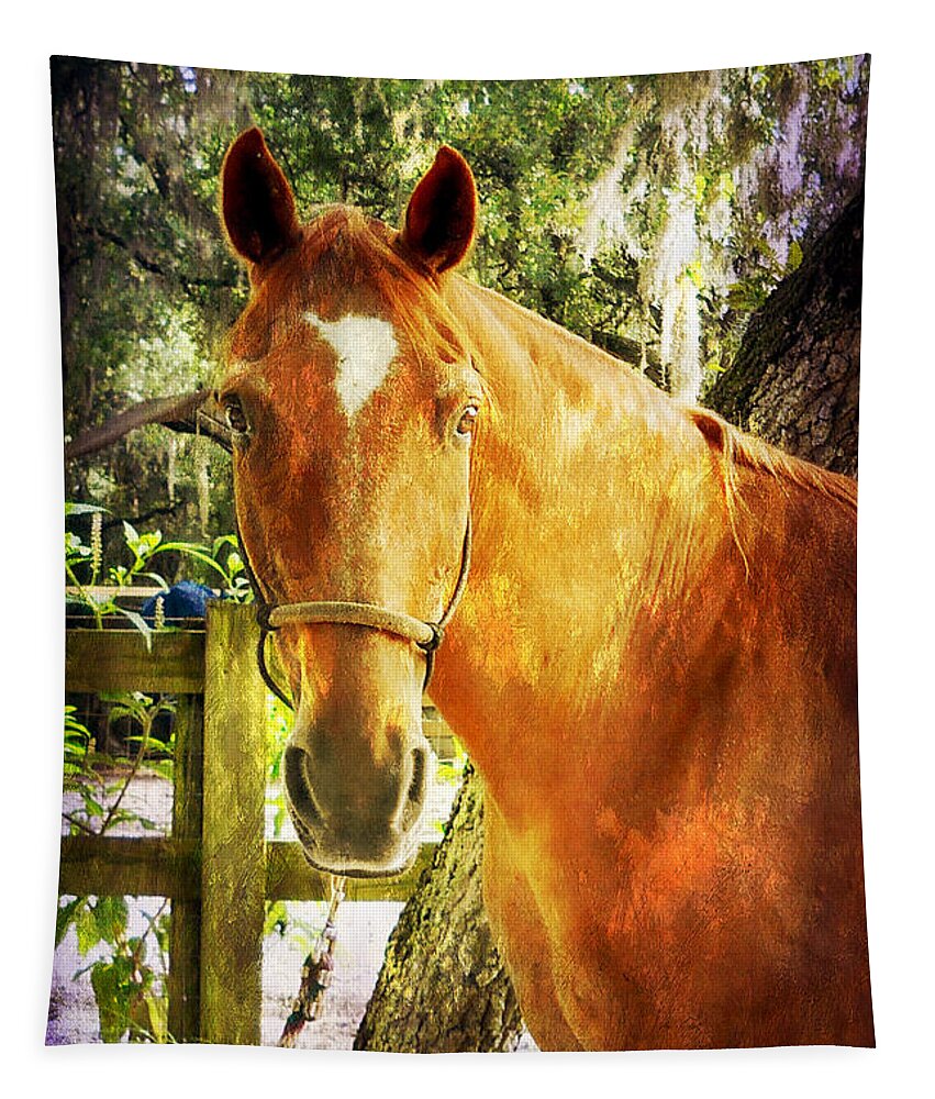 Horse Tapestry featuring the photograph Romeo by Judy Hall-Folde