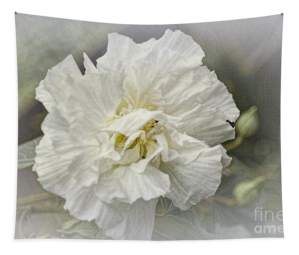 Rose Of Sharon Tapestry featuring the photograph Rose of Sharon 4a by Elaine Teague
