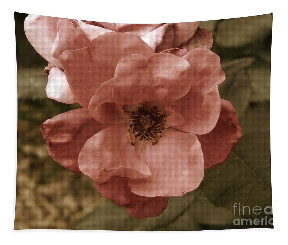 Rose Tapestry featuring the photograph Rose by Andrea Anderegg