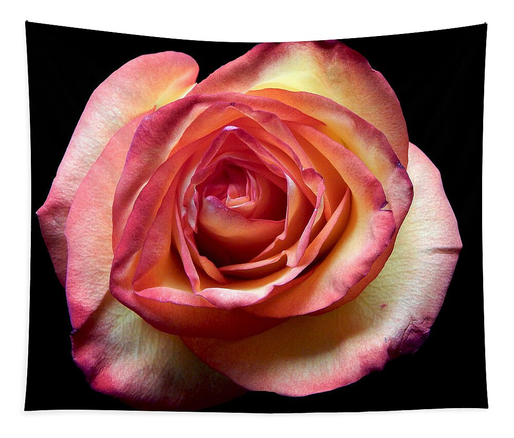 Flowers Tapestry featuring the photograph Rose II Still Life Flower Art Poster by Lily Malor