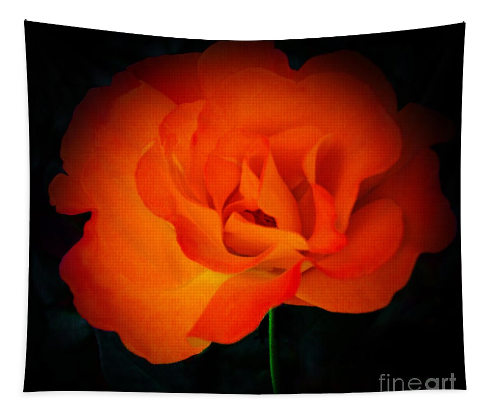 Orange Tapestry featuring the photograph Rose of Passion by Elizabeth Winter