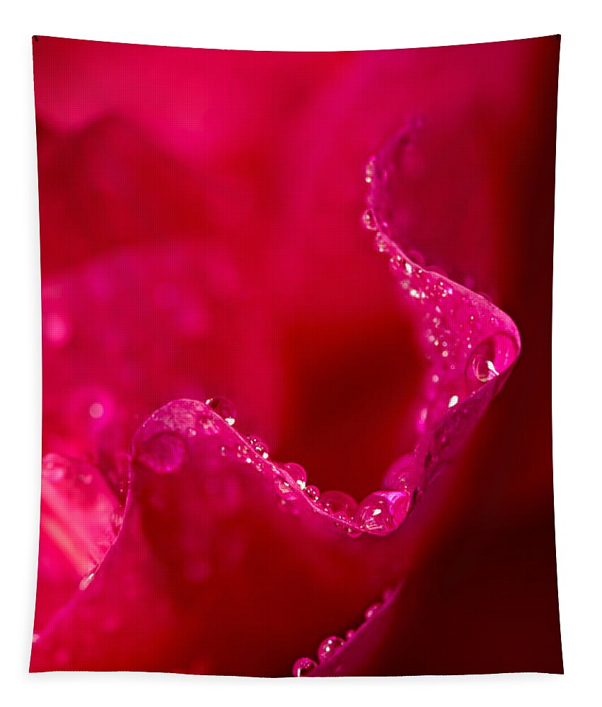 Plant Tapestry featuring the photograph Rose Petal Rain by Mary Jo Allen