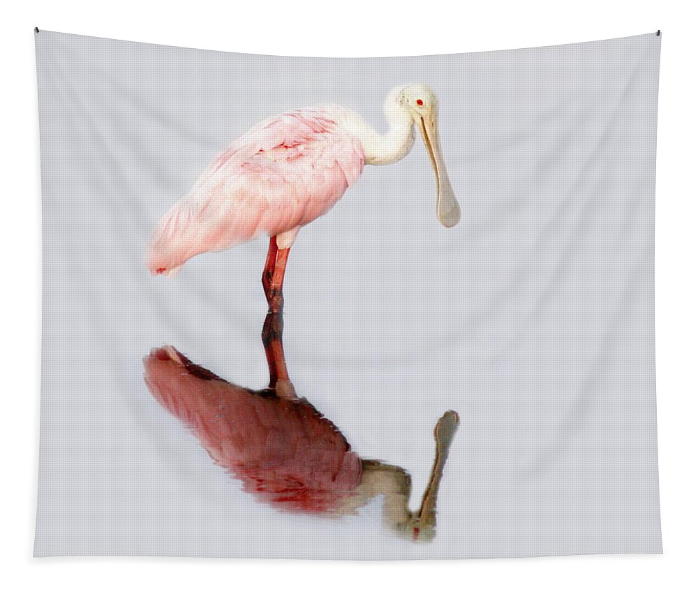Spoonbill Tapestry featuring the photograph Roseate Spoonbill Reflection by Paulette Thomas