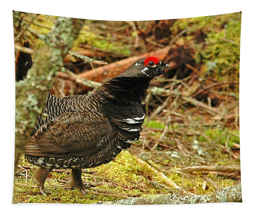 Rough Grouse Tapestry featuring the photograph Rough Grouse by Alana Ranney