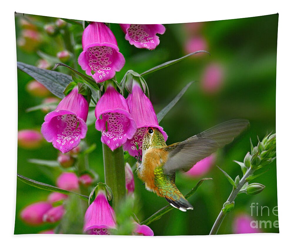 Animal Tapestry featuring the photograph Rufous Hummingbird #1 by Thomas and Pat Leeson