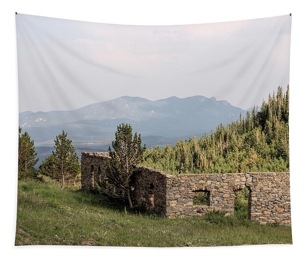 Caribou Tapestry featuring the photograph Ruins of Caribou by Becca Buecher