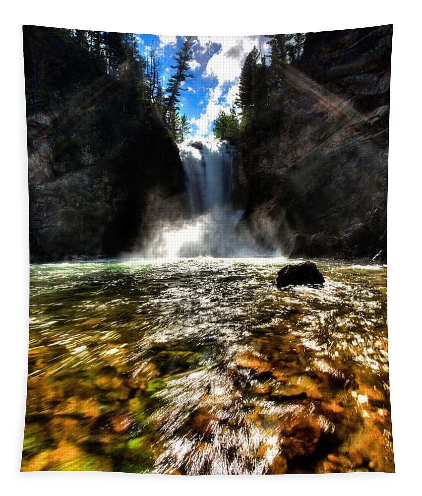 Clear Water Tapestry featuring the photograph Running Eagle by David Andersen