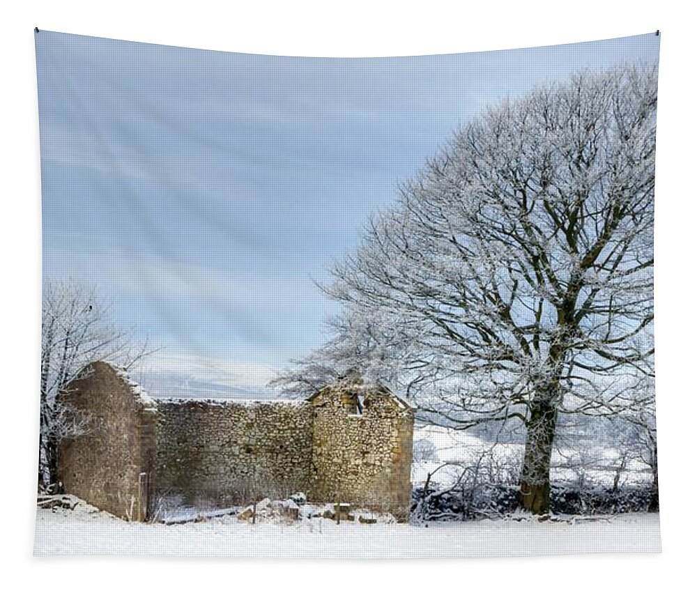 Winter Tapestry featuring the photograph Rural Winter by David Birchall