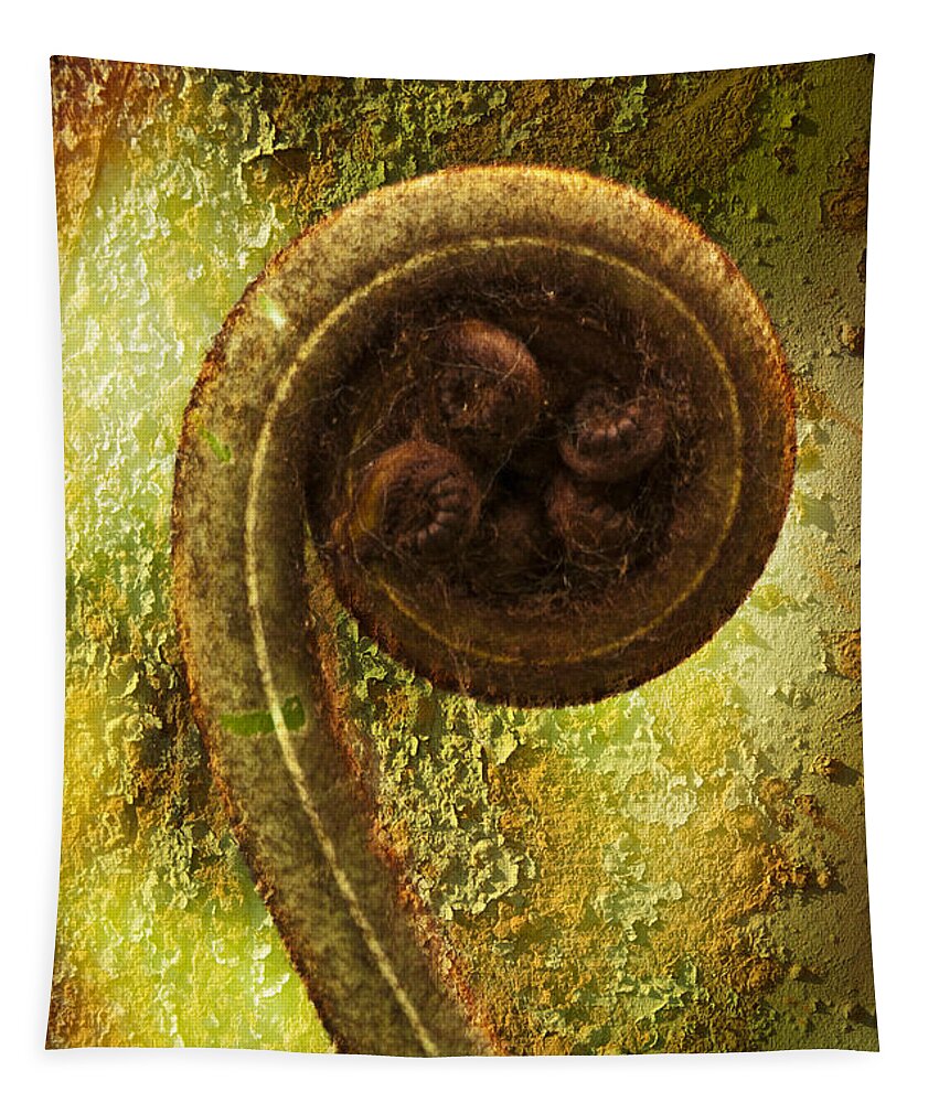 Plant Tapestry featuring the photograph Rust and Fern by Heiko Koehrer-Wagner